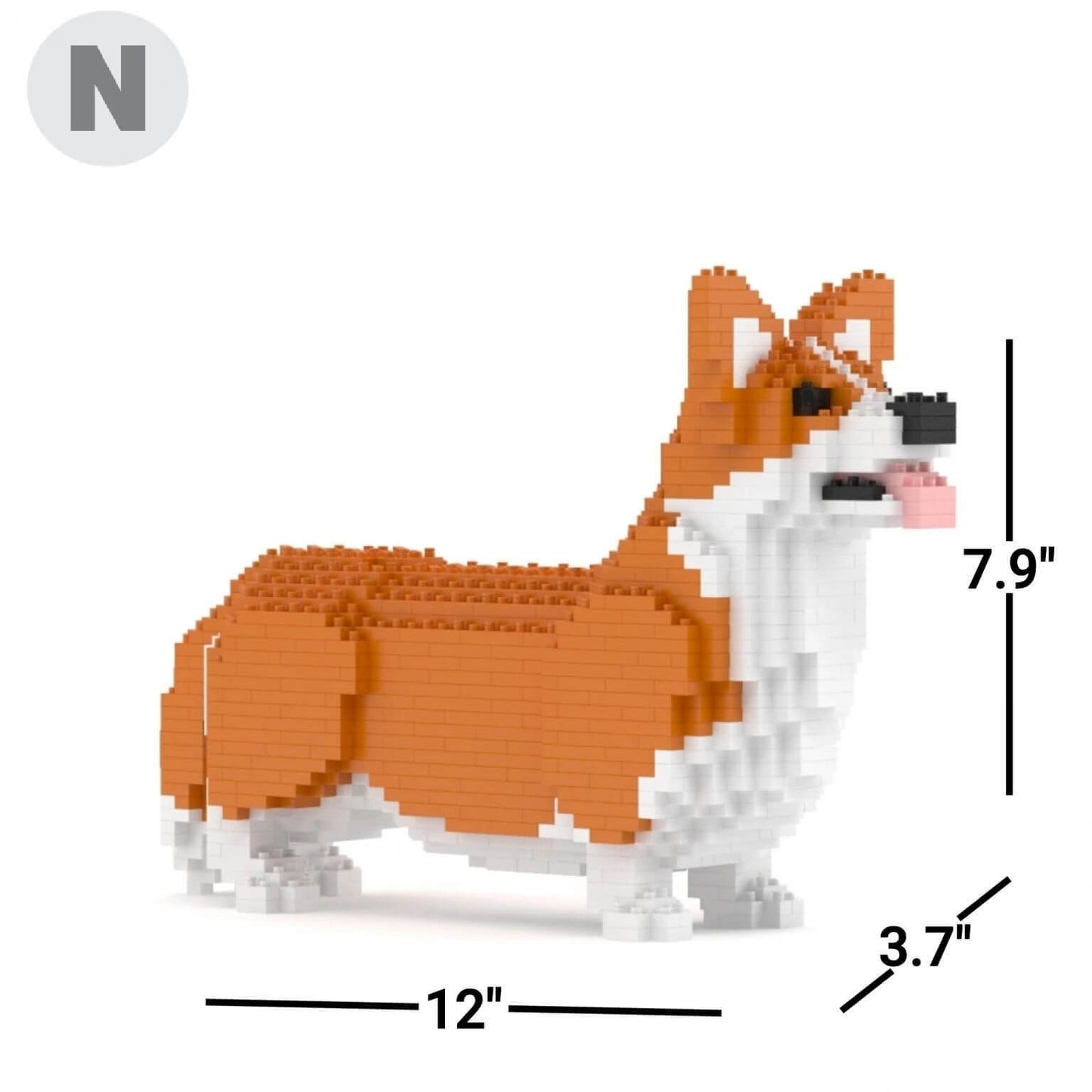 Welsh Corgi