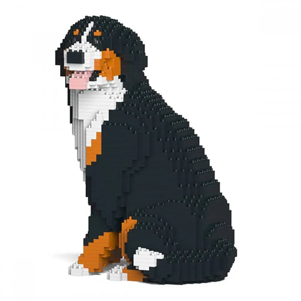 Bernese Mountain Dog
