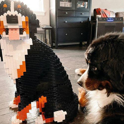 Bernese Mountain Dog