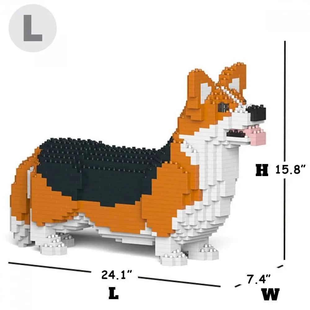 Welsh Corgi