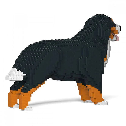 Bernese Mountain Dog