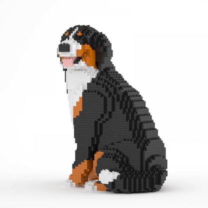Bernese Mountain Dog