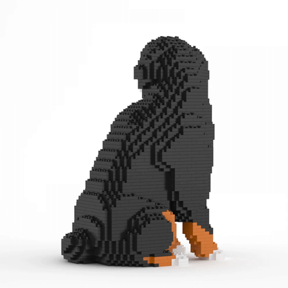 Bernese Mountain Dog