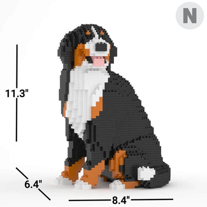 Bernese Mountain Dog