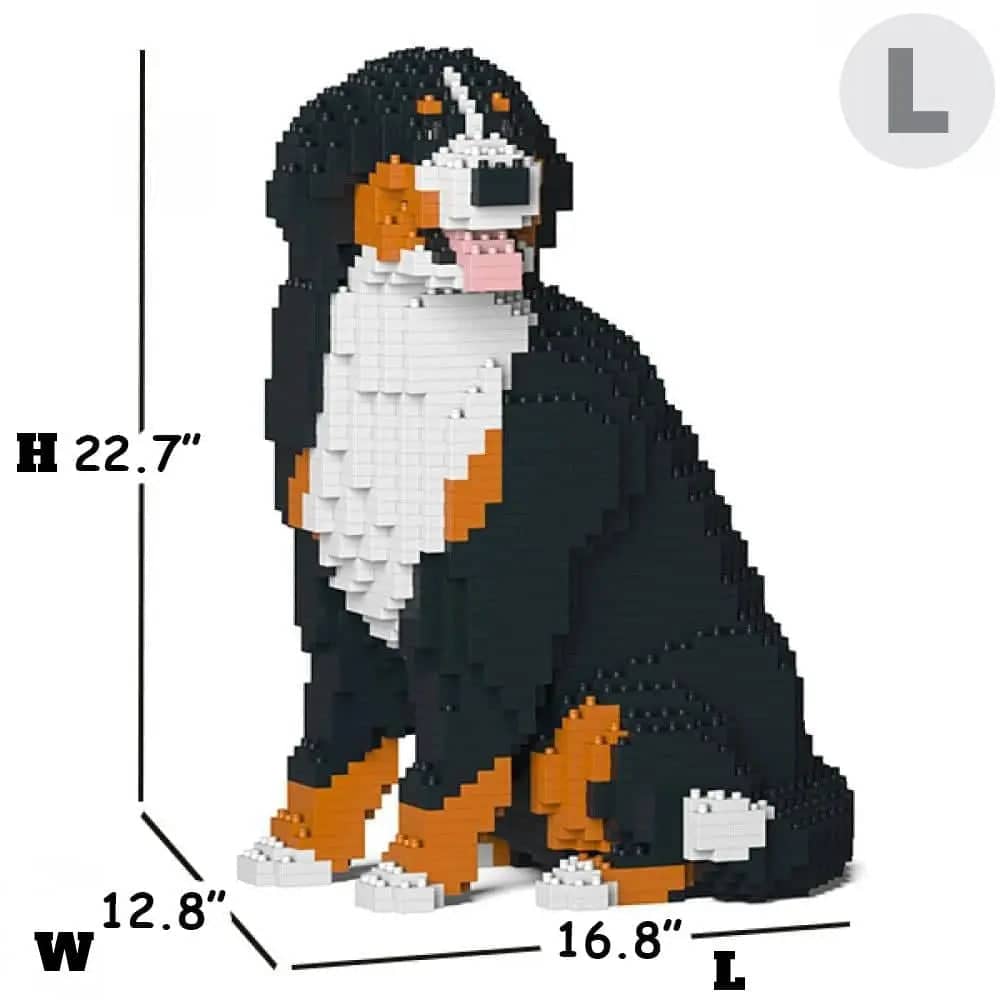 Bernese Mountain Dog