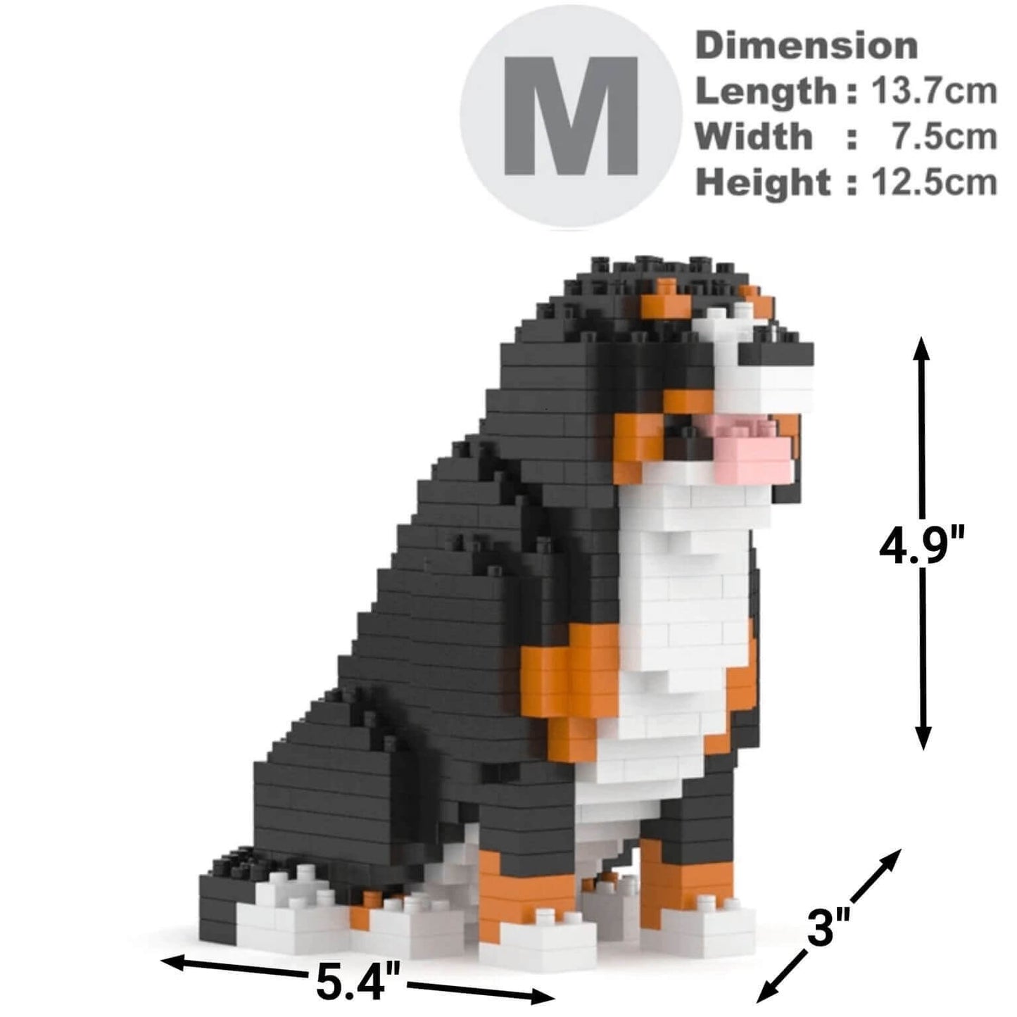 Bernese Mountain Dog