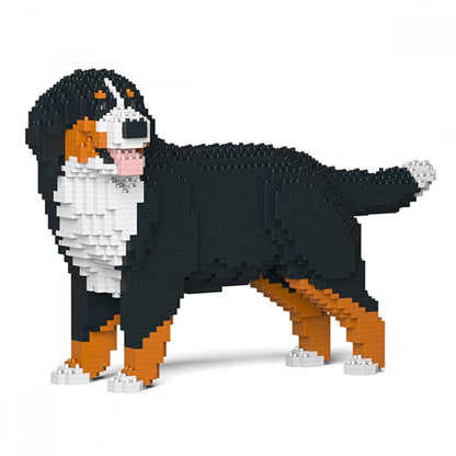 Bernese Mountain Dog