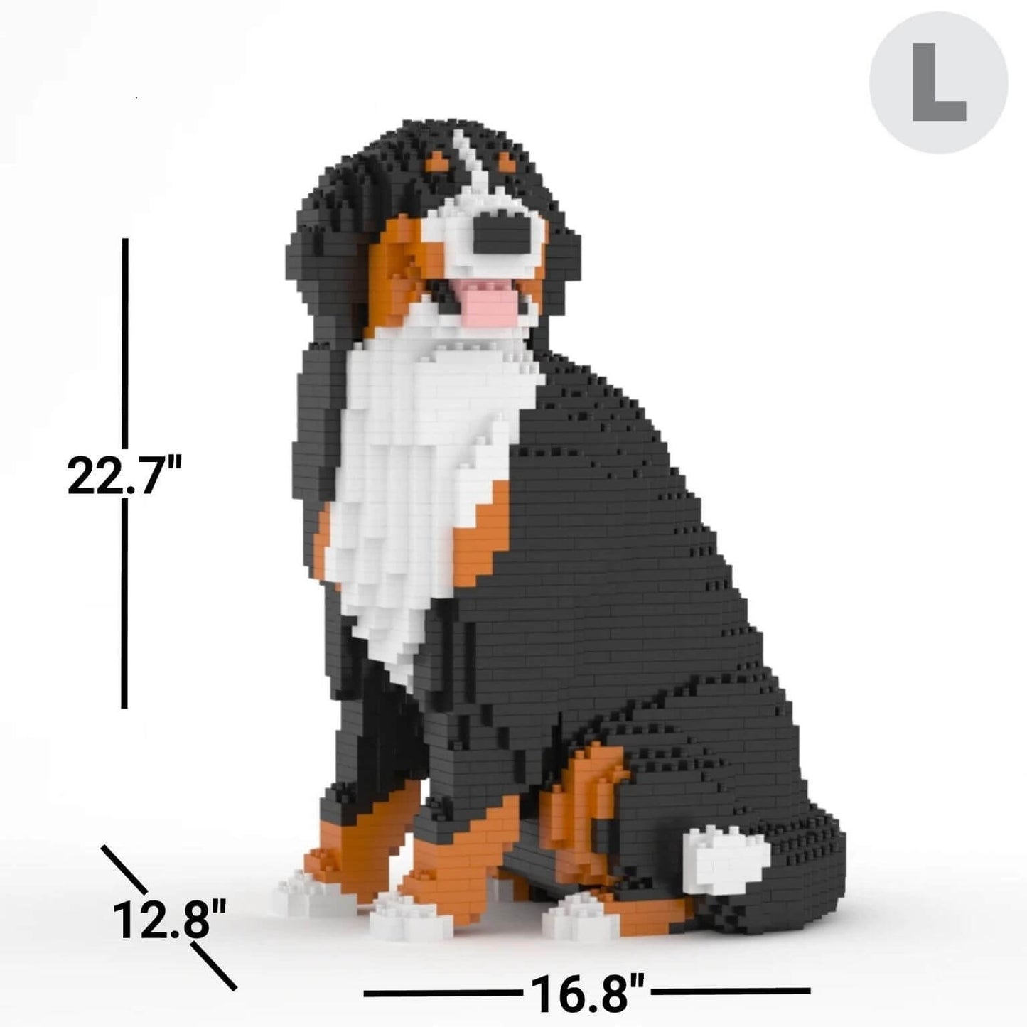 Bernese Mountain Dog