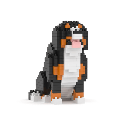 Bernese Mountain Dog
