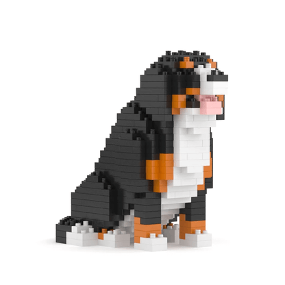 Bernese Mountain Dog