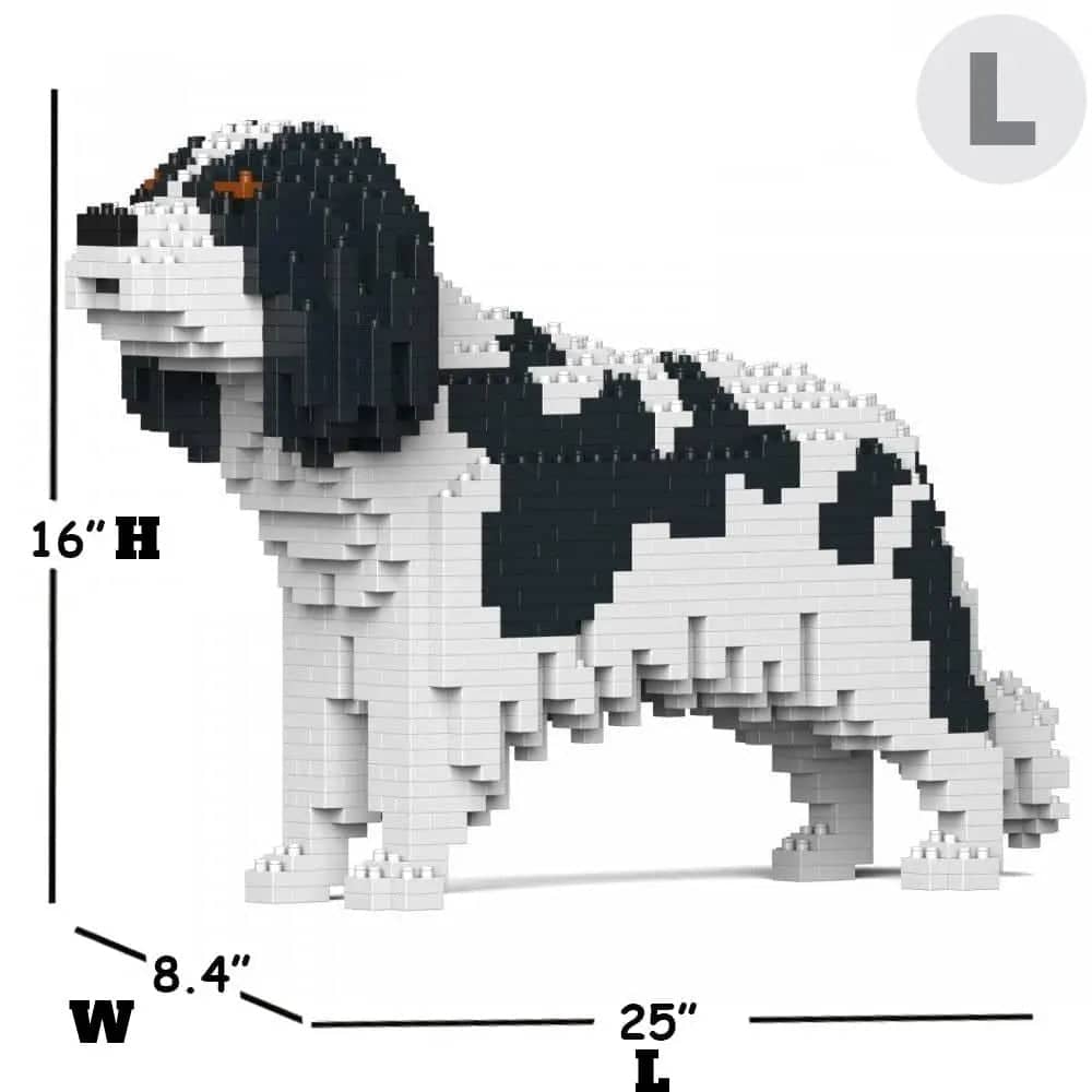 Cavalier King Charles Spaniel