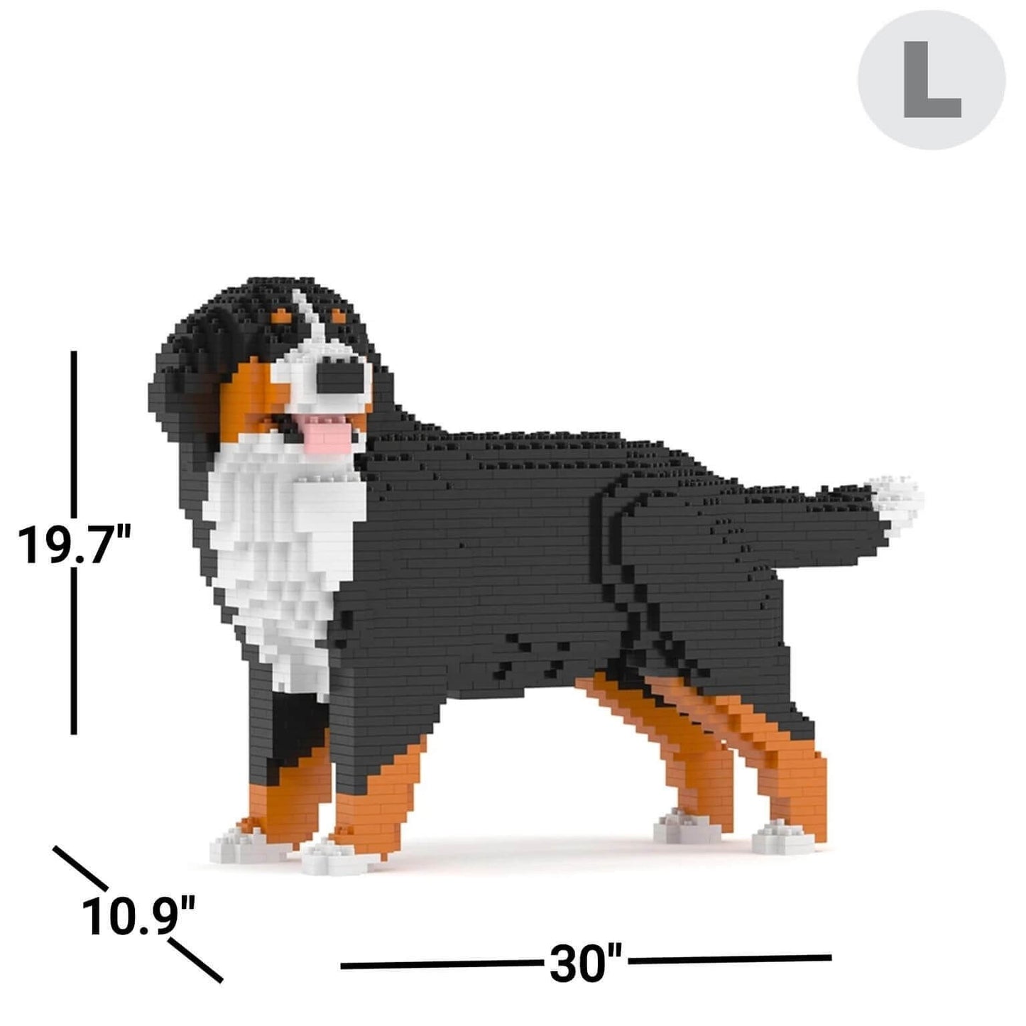Bernese Mountain Dog