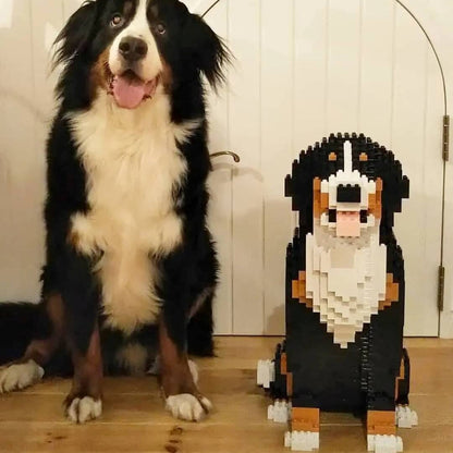 Bernese Mountain Dog