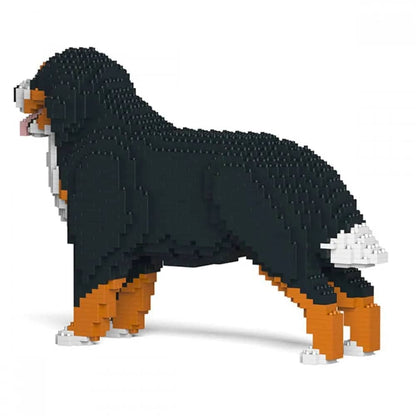 Bernese Mountain Dog