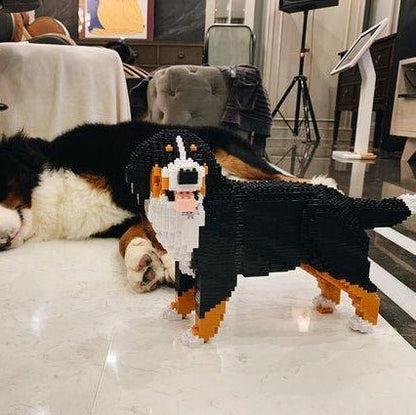 Bernese Mountain Dog