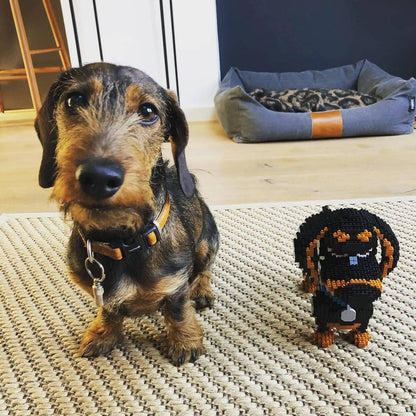Cartoon Dachshund