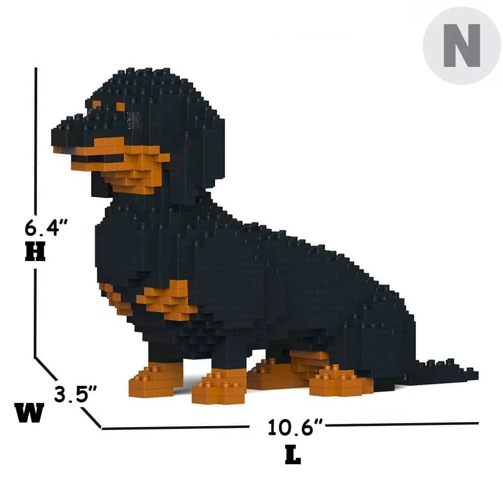 Dachshund