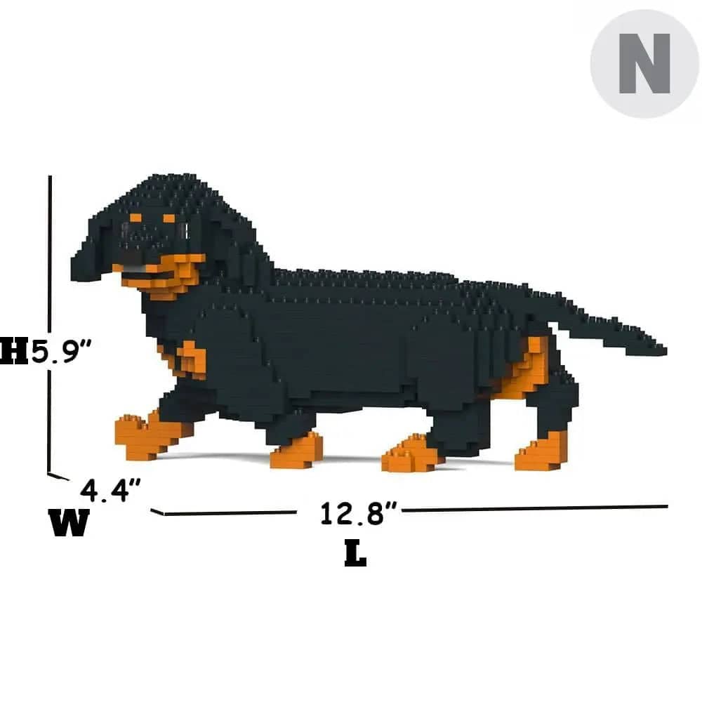 Dachshund