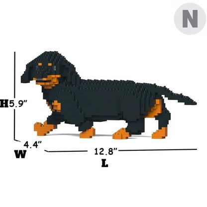 Dachshund