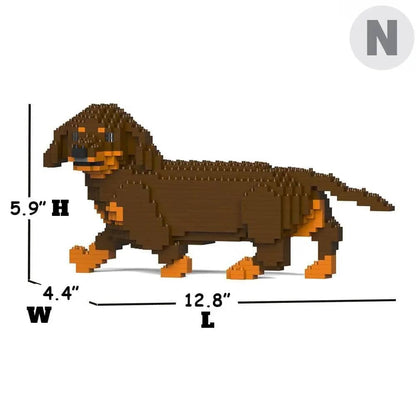 Dachshund