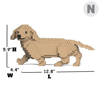 Dachshund