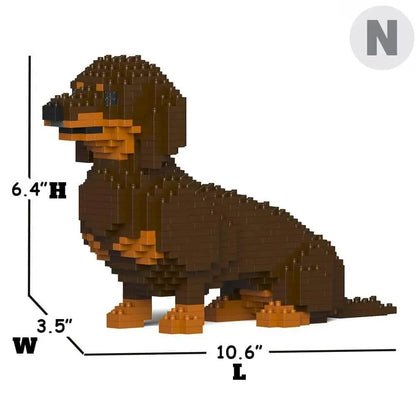 Dachshund