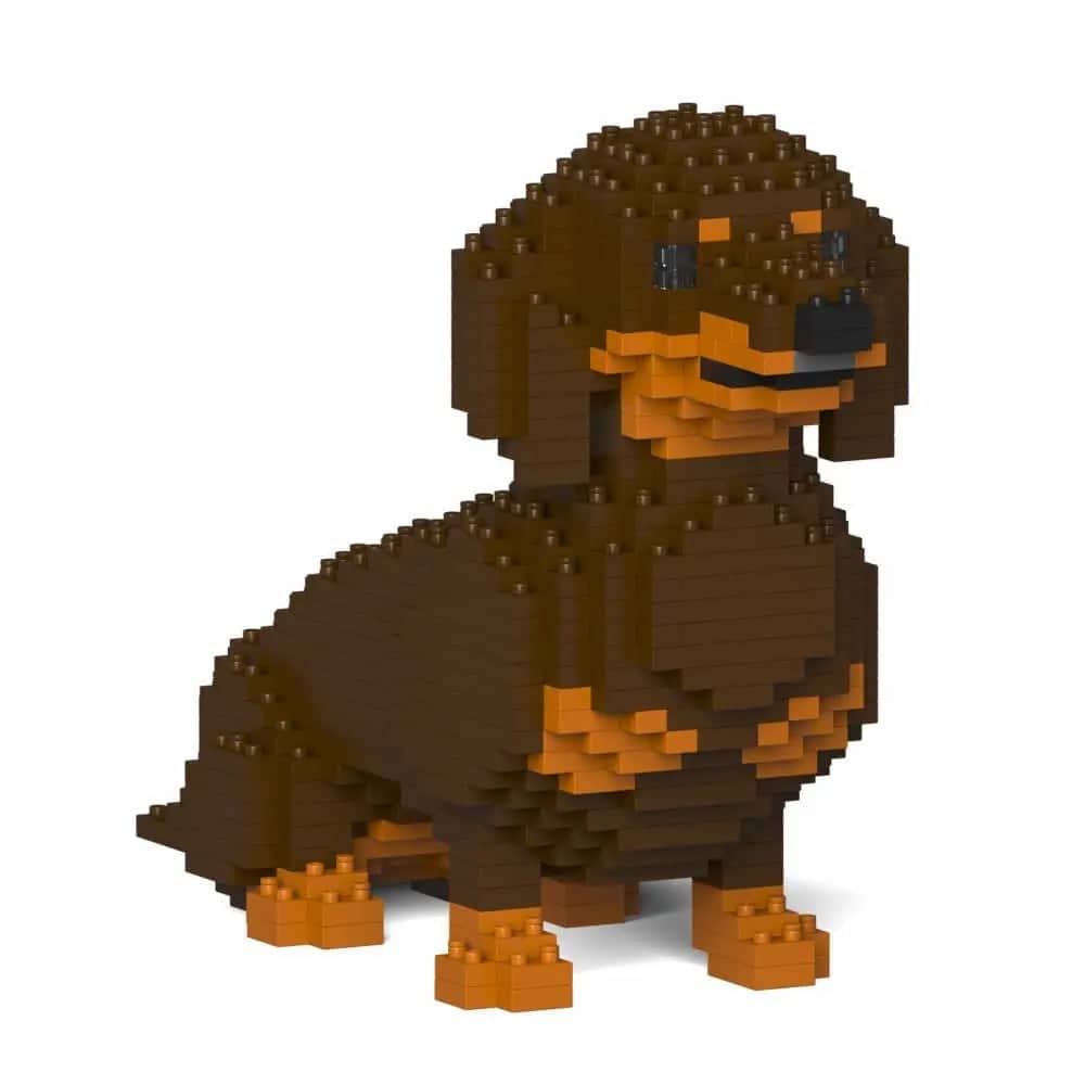 Dachshund
