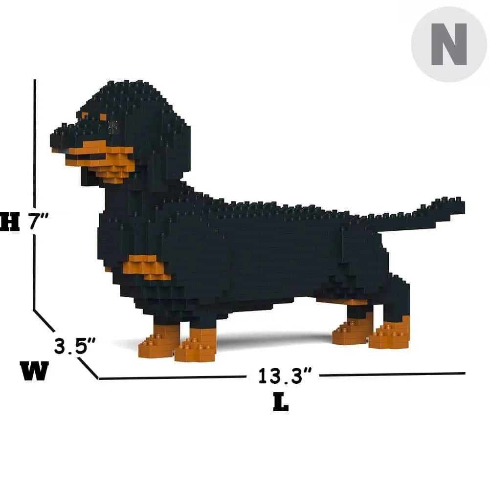 Dachshund