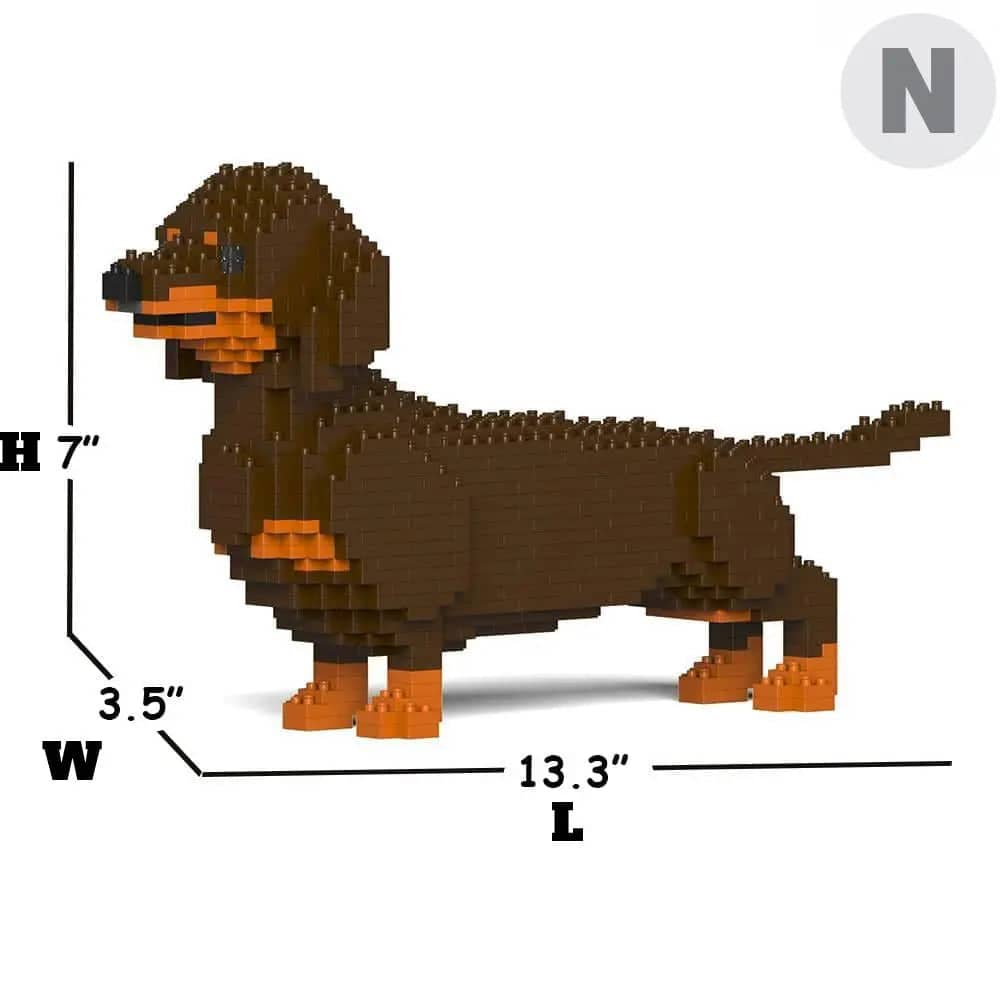 Dachshund
