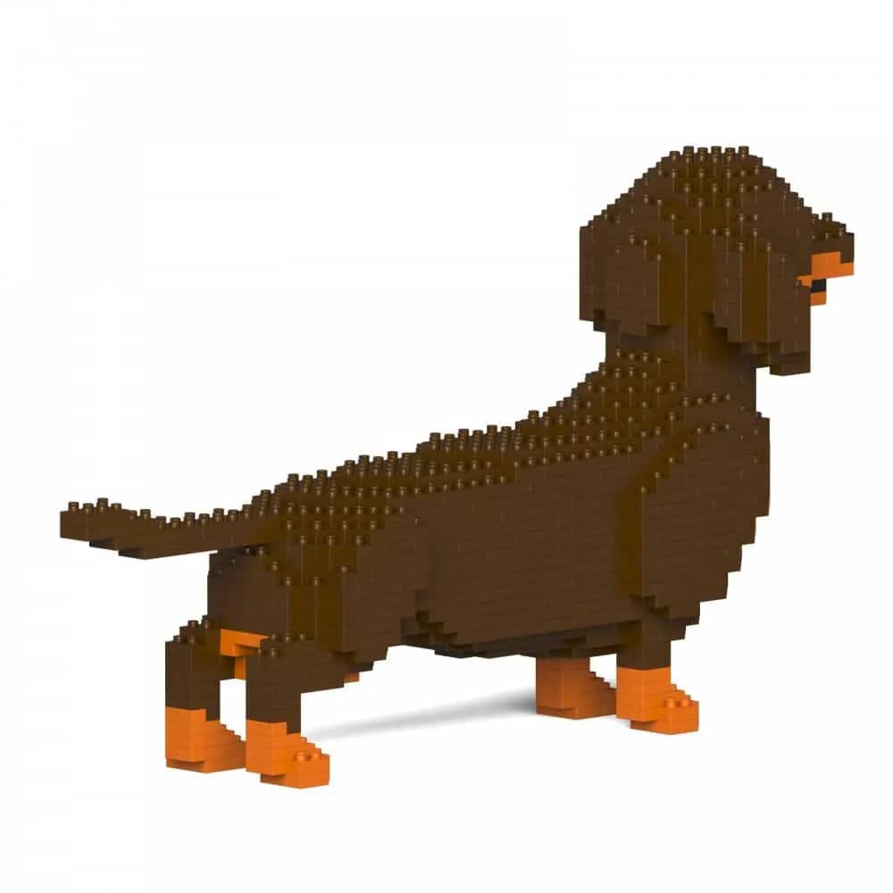 Dachshund