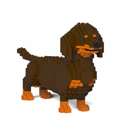 Dachshund