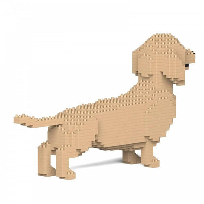Dachshund