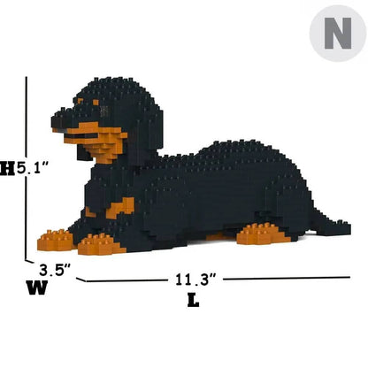 Dachshund