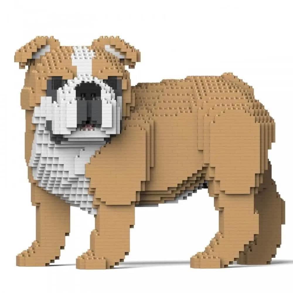 English Bulldog