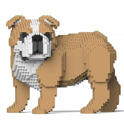 English Bulldog