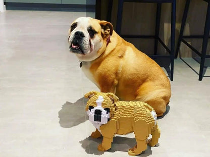 English Bulldog