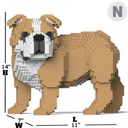 English Bulldog