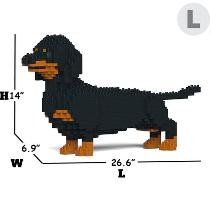 Dachshund