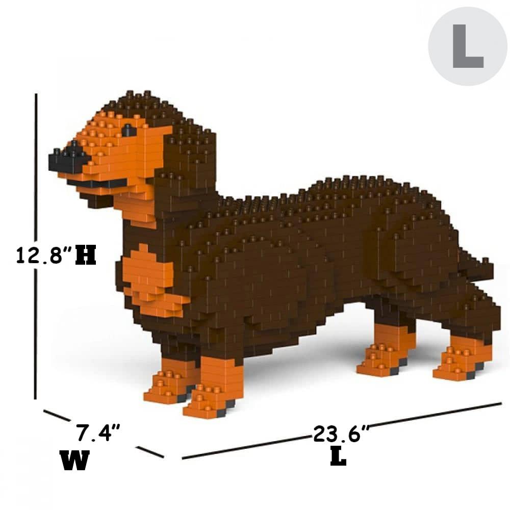 Dachshund