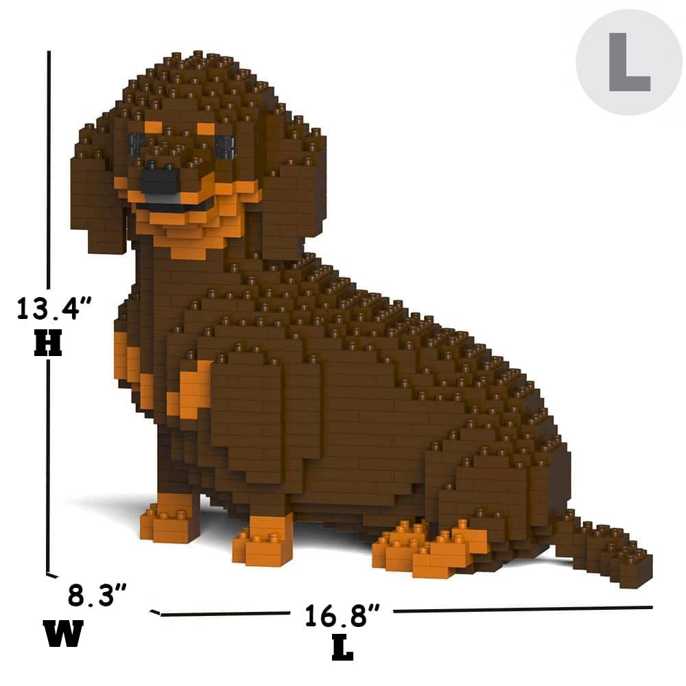 Dachshund