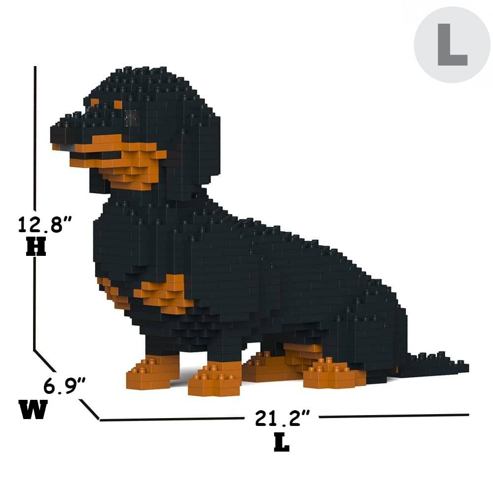 Dachshund