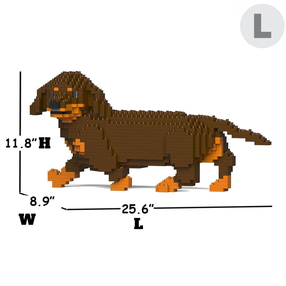 Dachshund