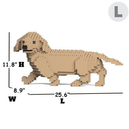 Dachshund