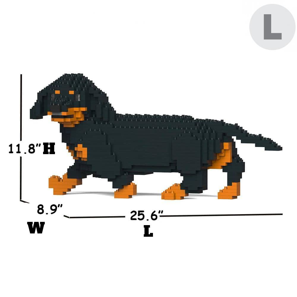 Dachshund