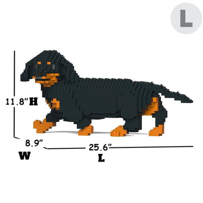 Dachshund