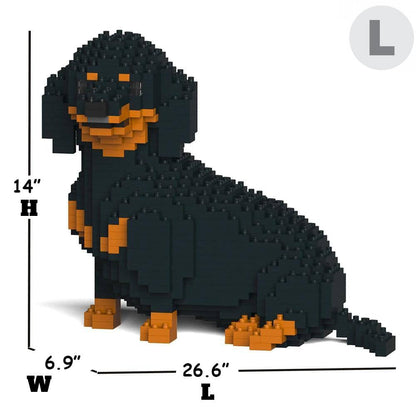 Dachshund