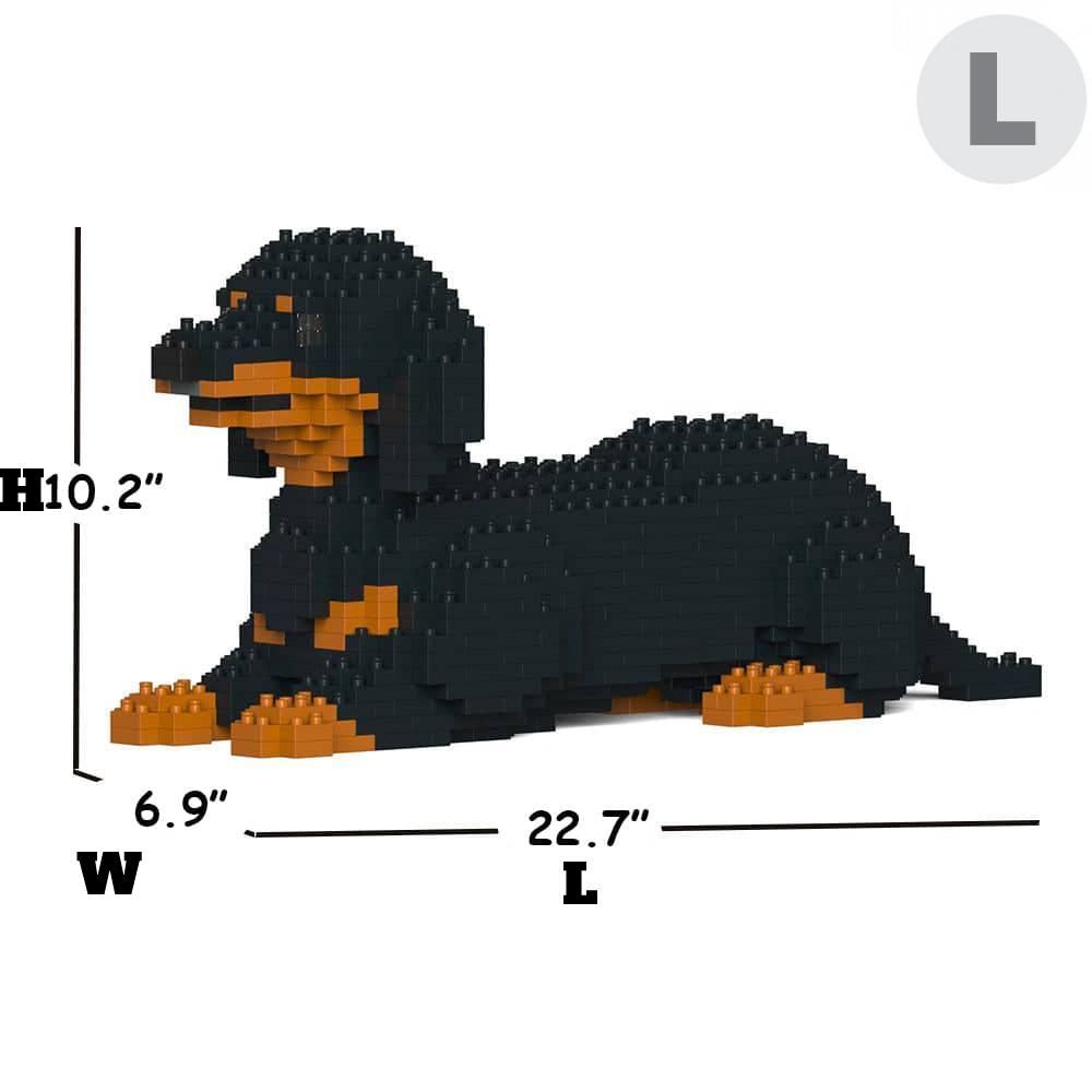 Dachshund