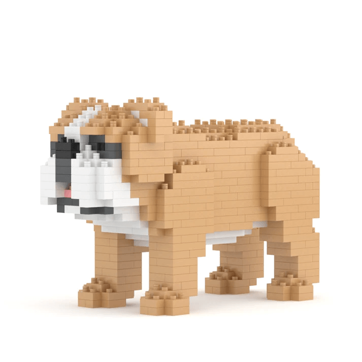 English Bulldog