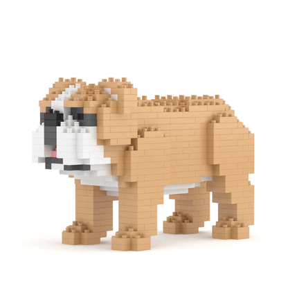 English Bulldog