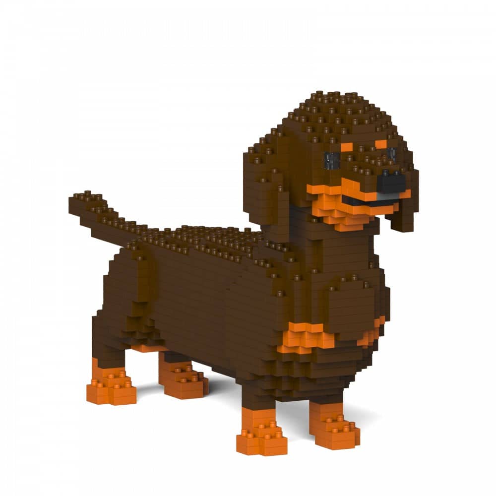 Dachshund
